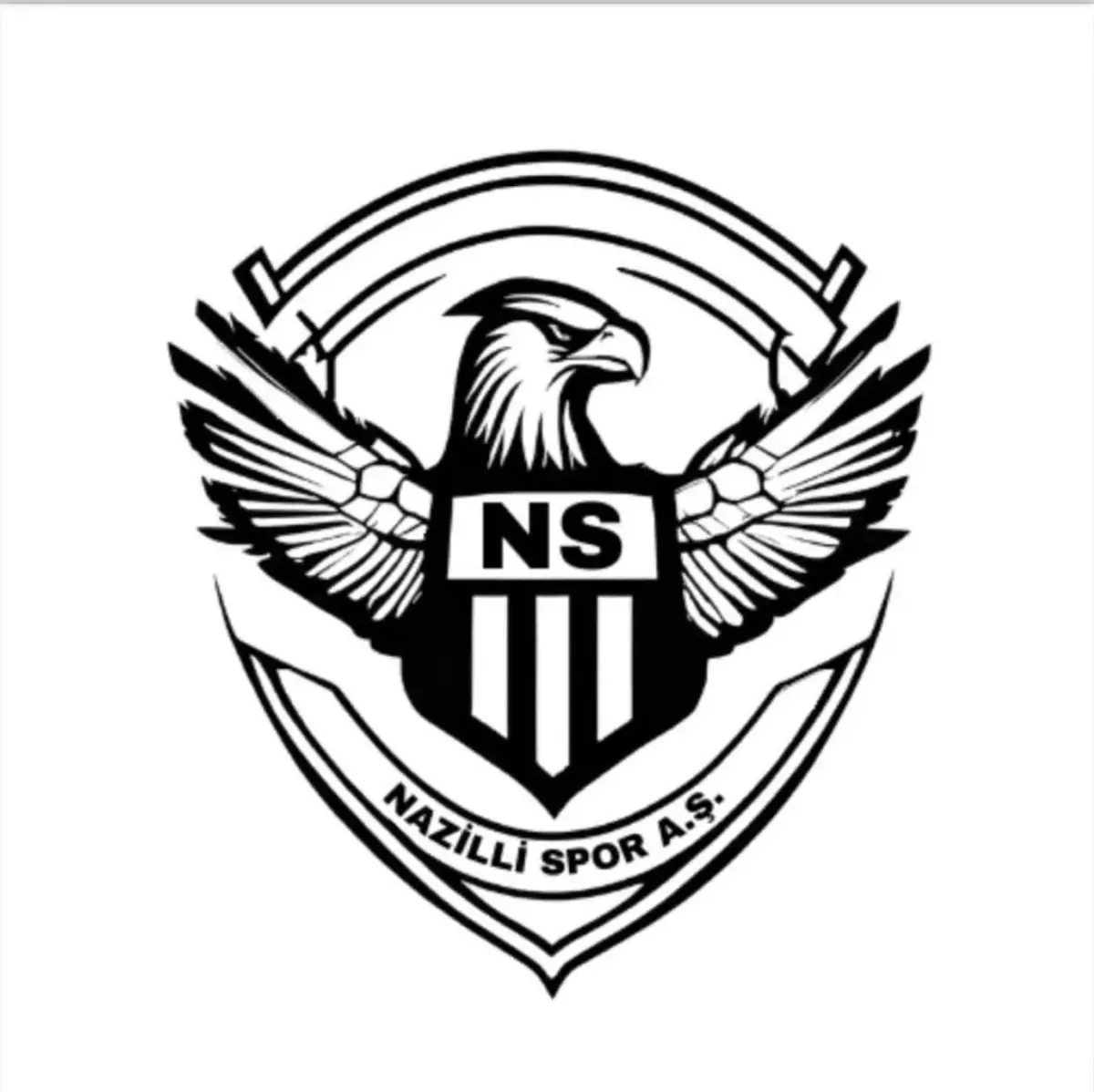Nazillispor’un yeni ismi tescillendi