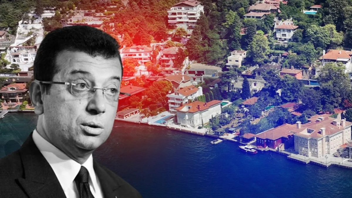 Vaniköy’deki skandalda yeni detay! Ağaç katliamı İBB’nin “Basit Onarım Belgesi” üzerinden yapılmış