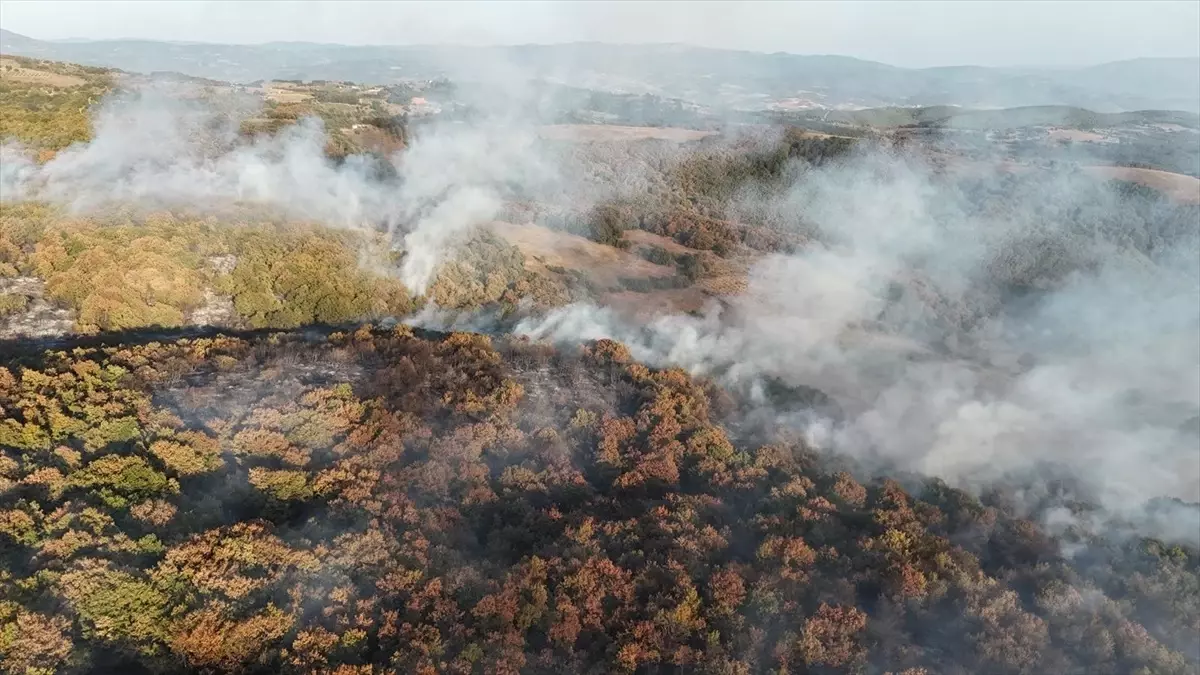 Karamürsel’de Orman Yangını Kontrol Altına Alındı
