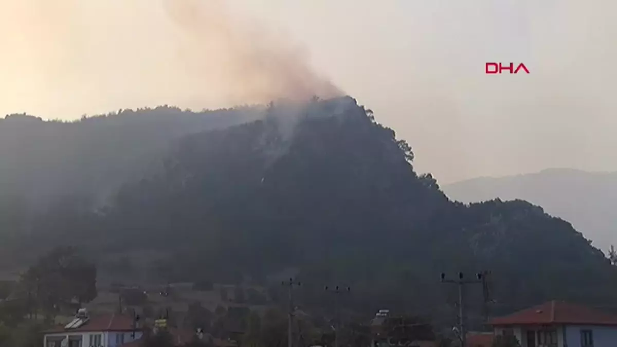Muğla’da Orman Yangını Rüzgarla Yayılıyor